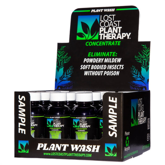 Store Countertop Display